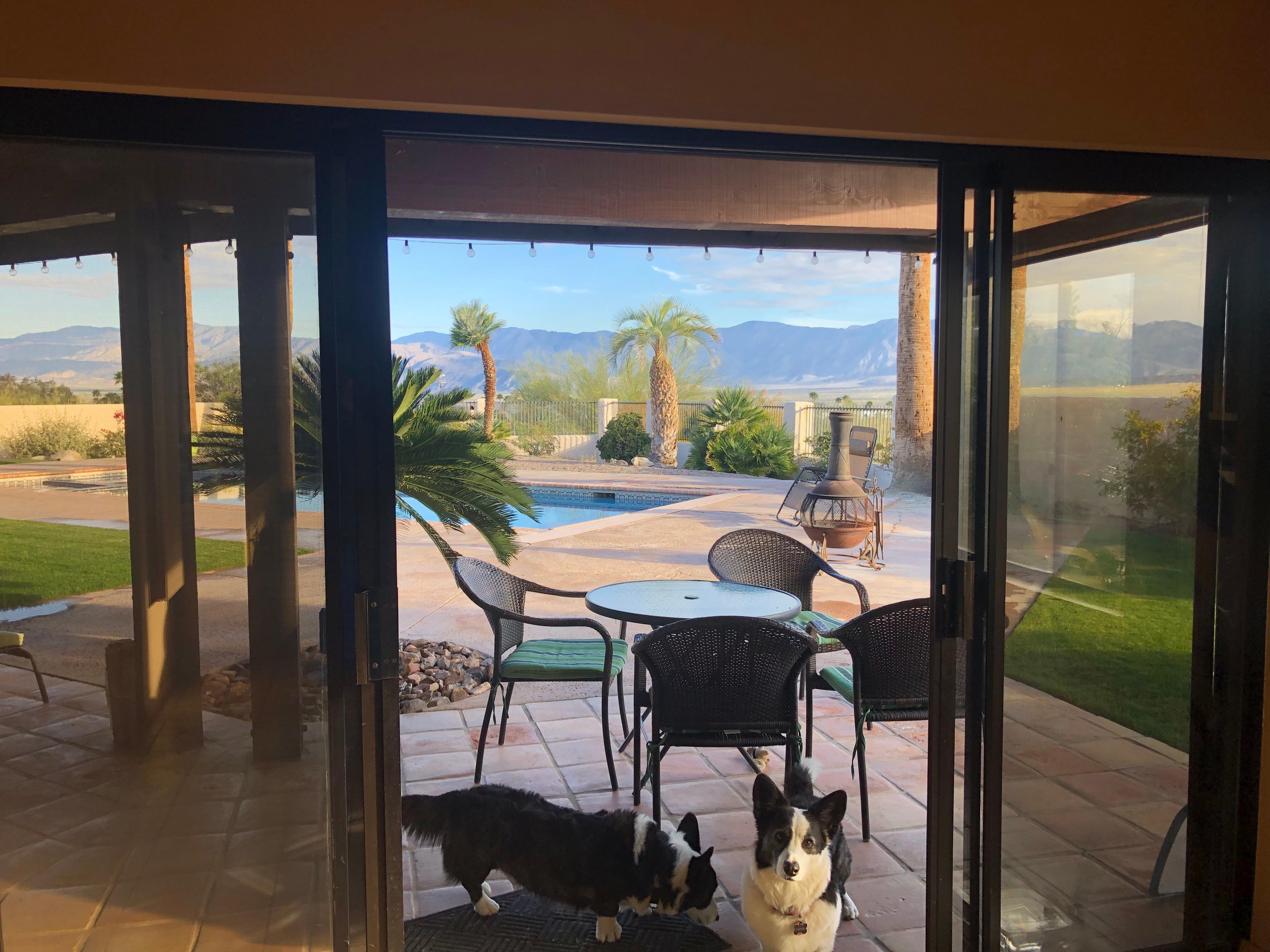 Our pups think this back yard is the best!