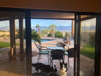 Our pups think this back yard is the best!