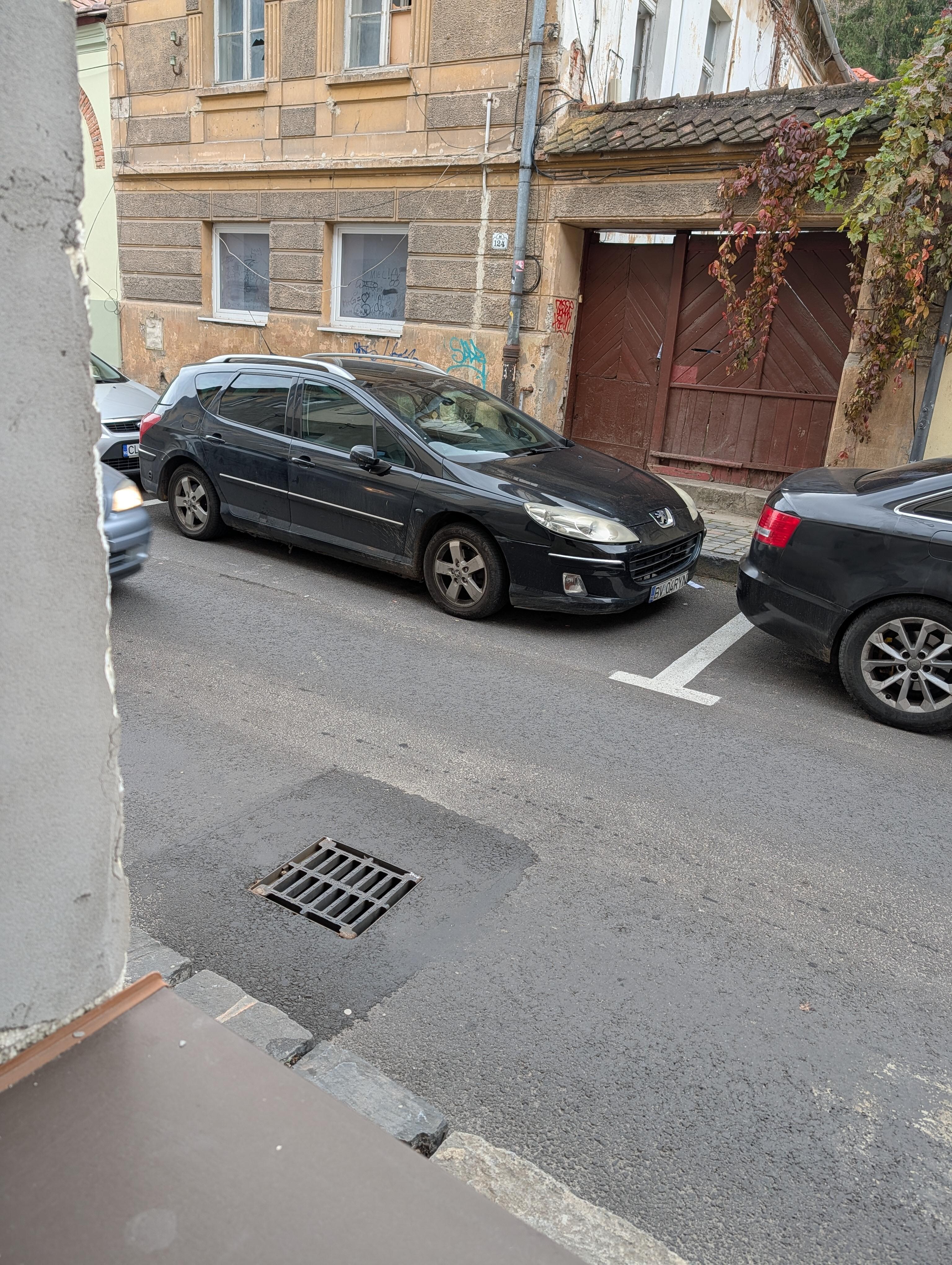 View from the window with the faulty drain 