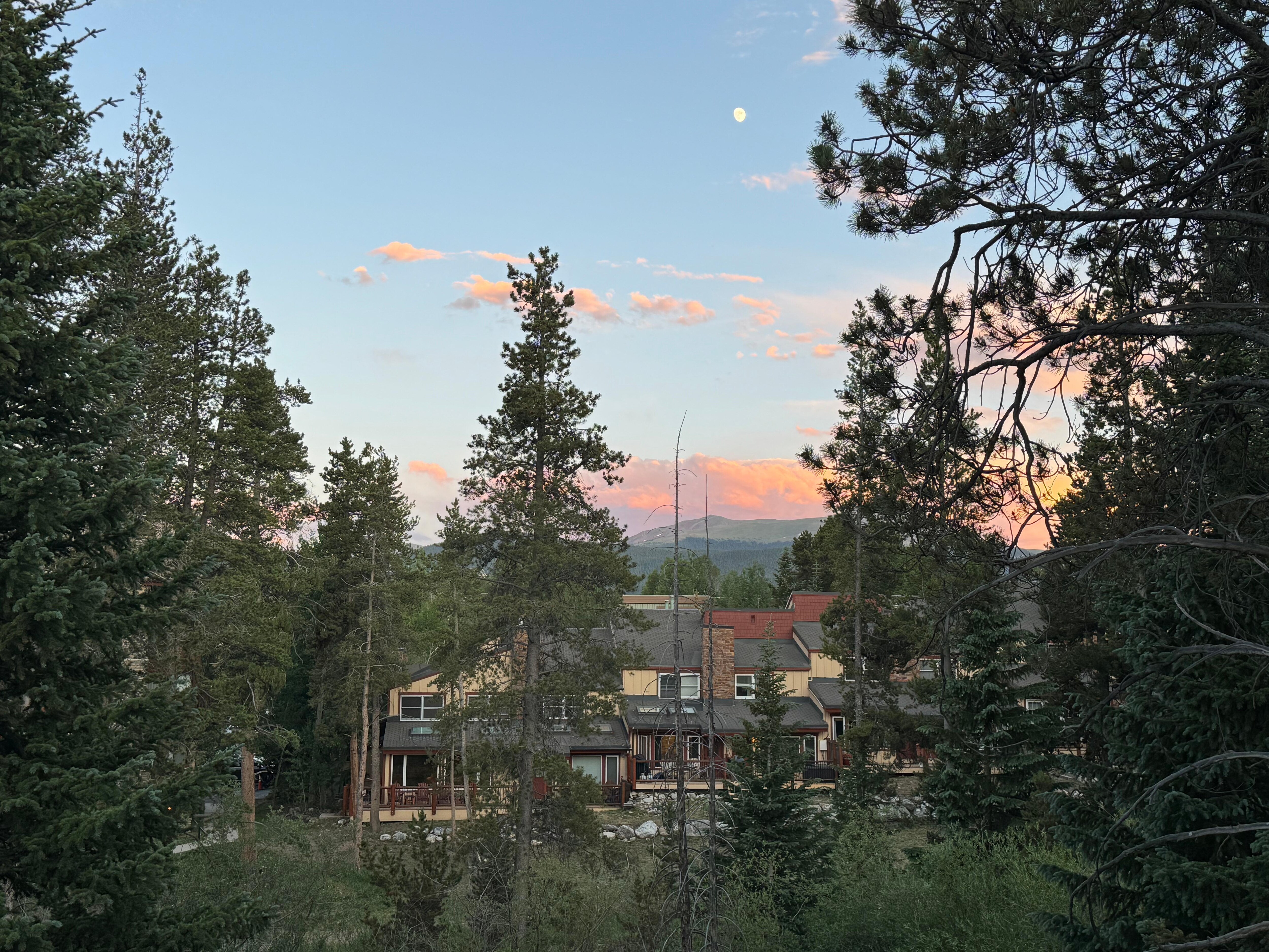 View from the deck
