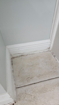 Mold
