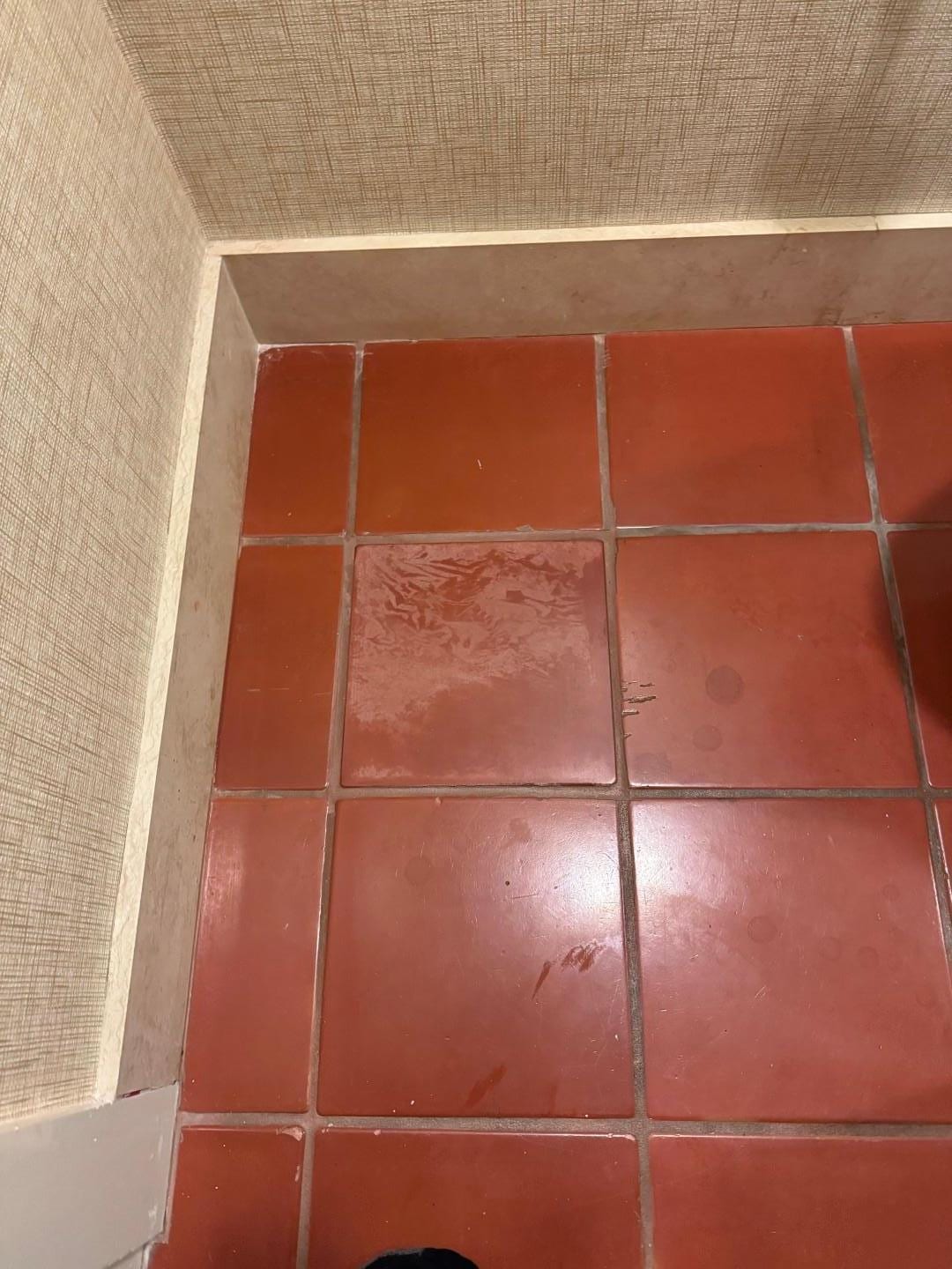 Tile badly discolored, multiple stains, cracks, and the real kicker was front desk attendant "Stan" said after showing him picture it was "Santa Barbara style". 