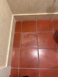 Tile badly discolored, multiple stains, cracks, and the real kicker was front desk attendant "Stan" said after showing him picture it was "Santa Barbara style".