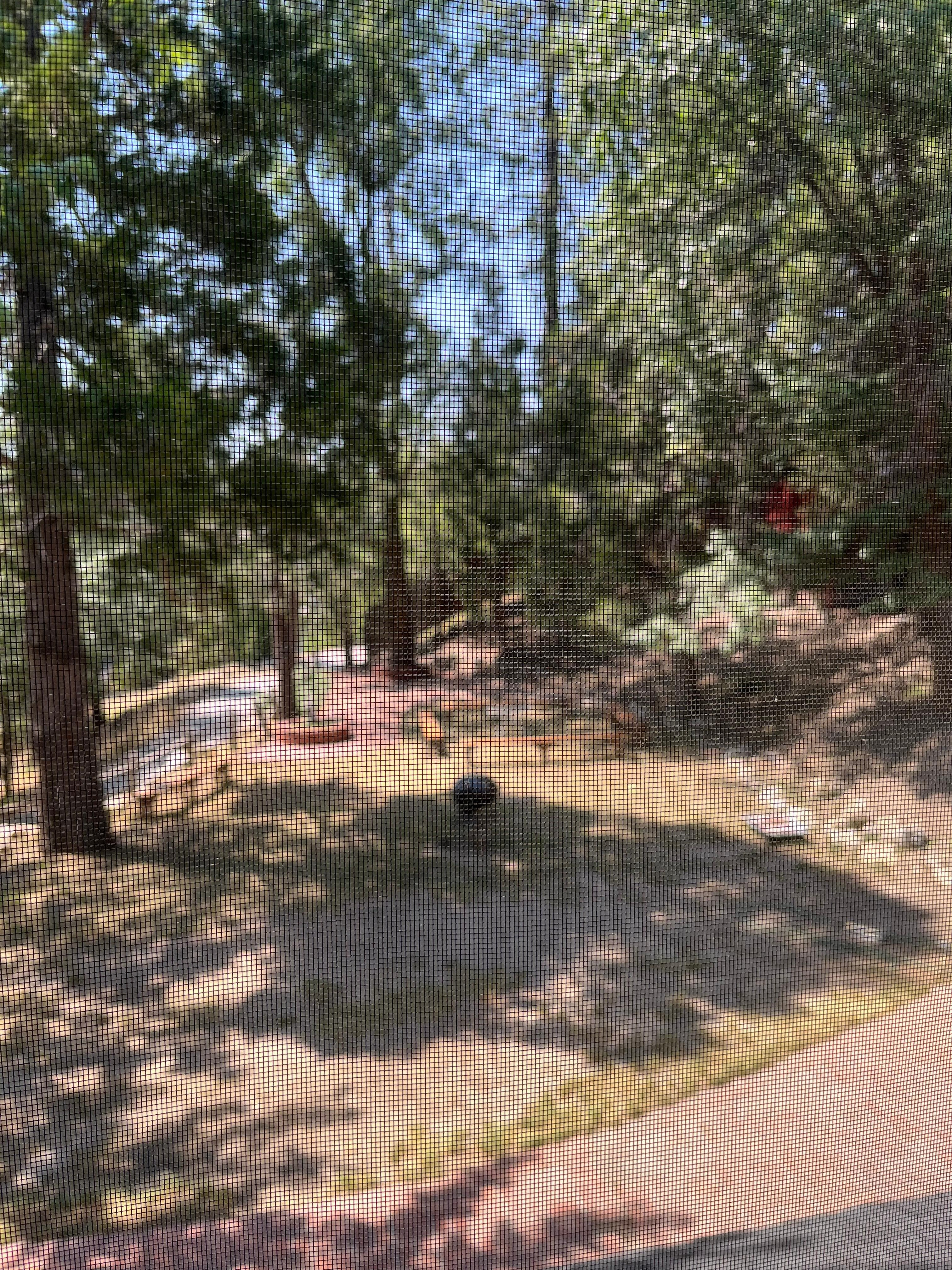 Relaxing picnic area behind the rooms.