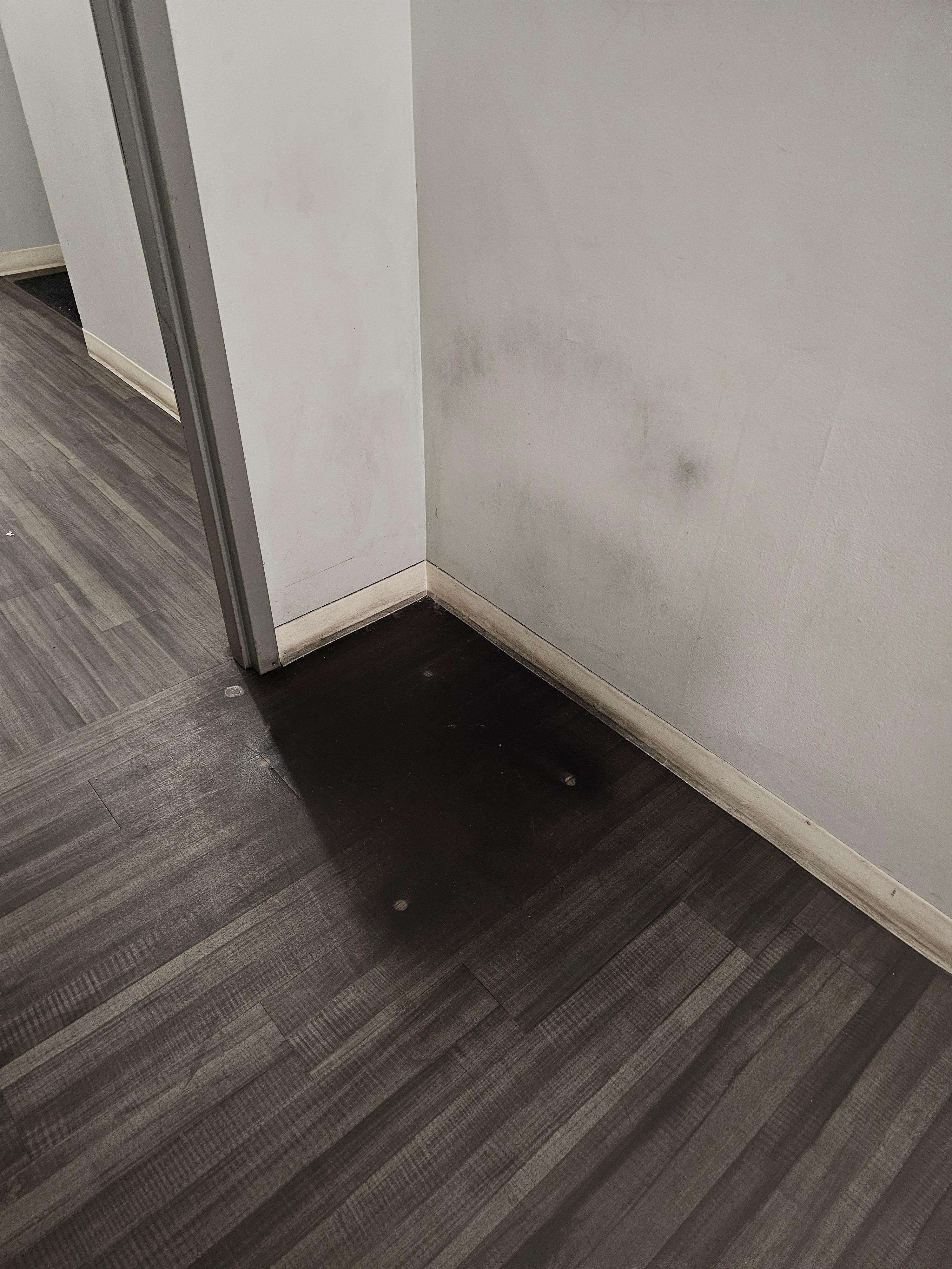 I forgot to mention it looks like a chair burned up in the hallway