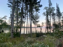 View of shoreline from cabin