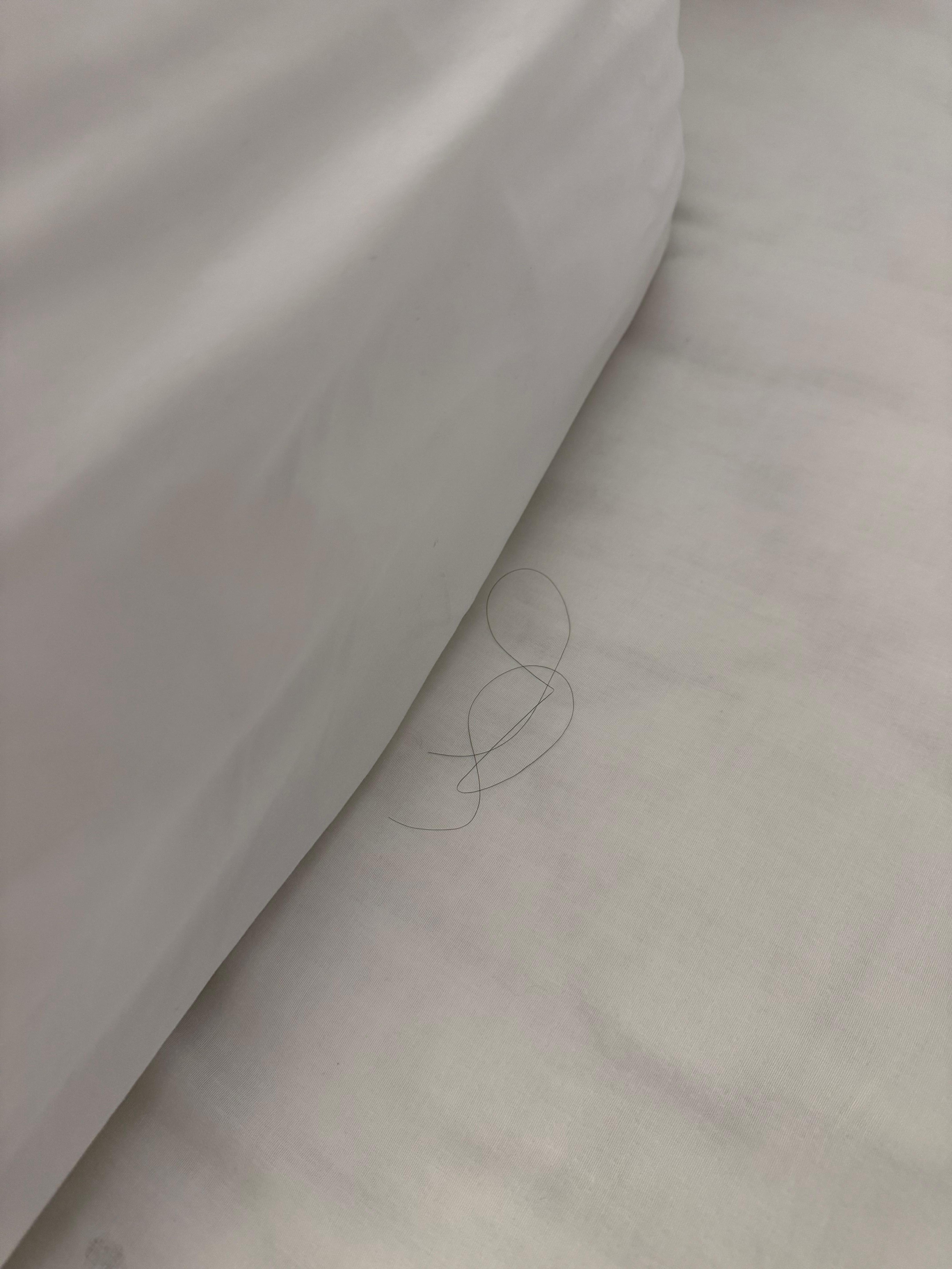 Hair on the pillow!