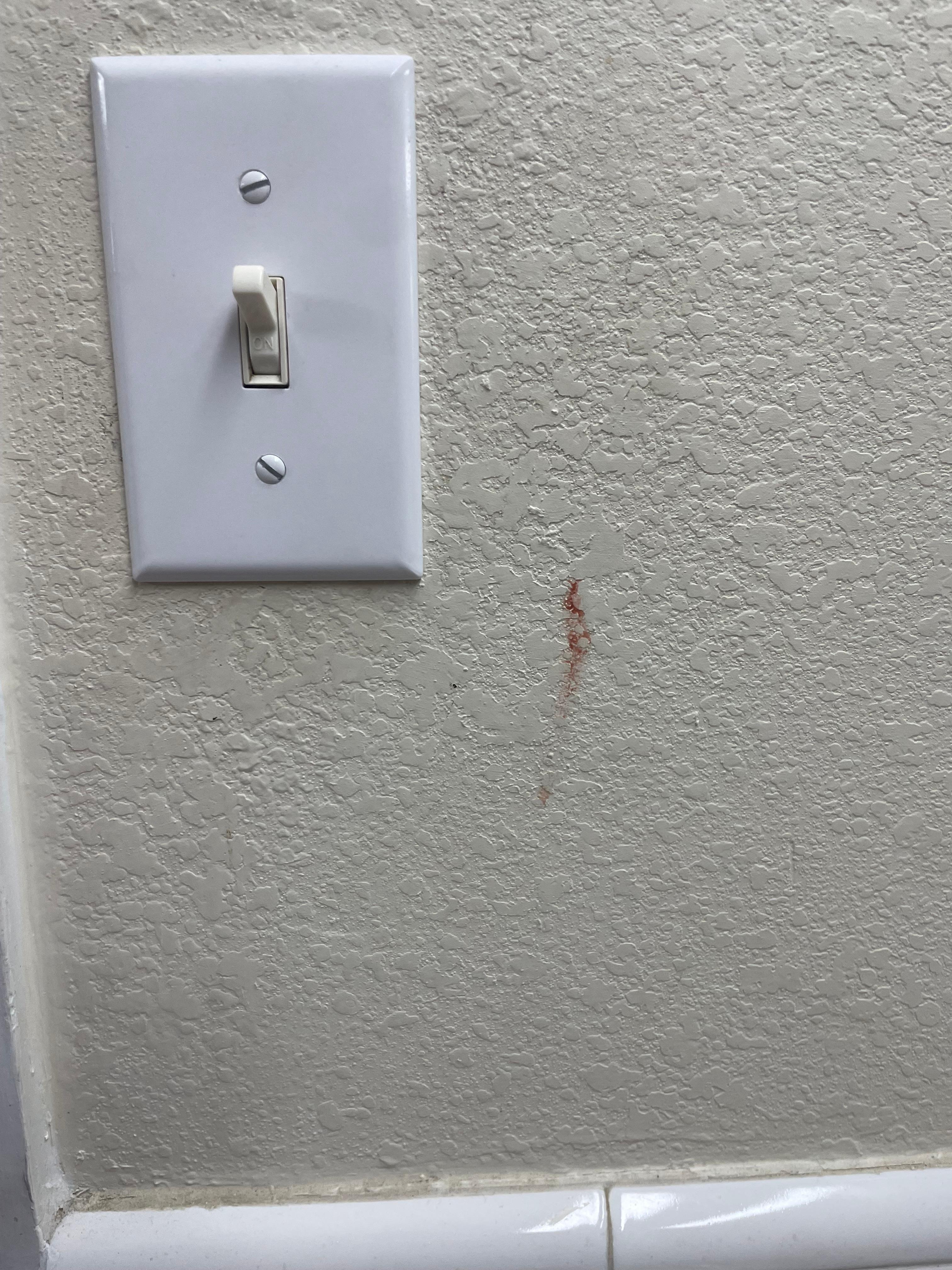 Blood on the wall in the bathroom. 