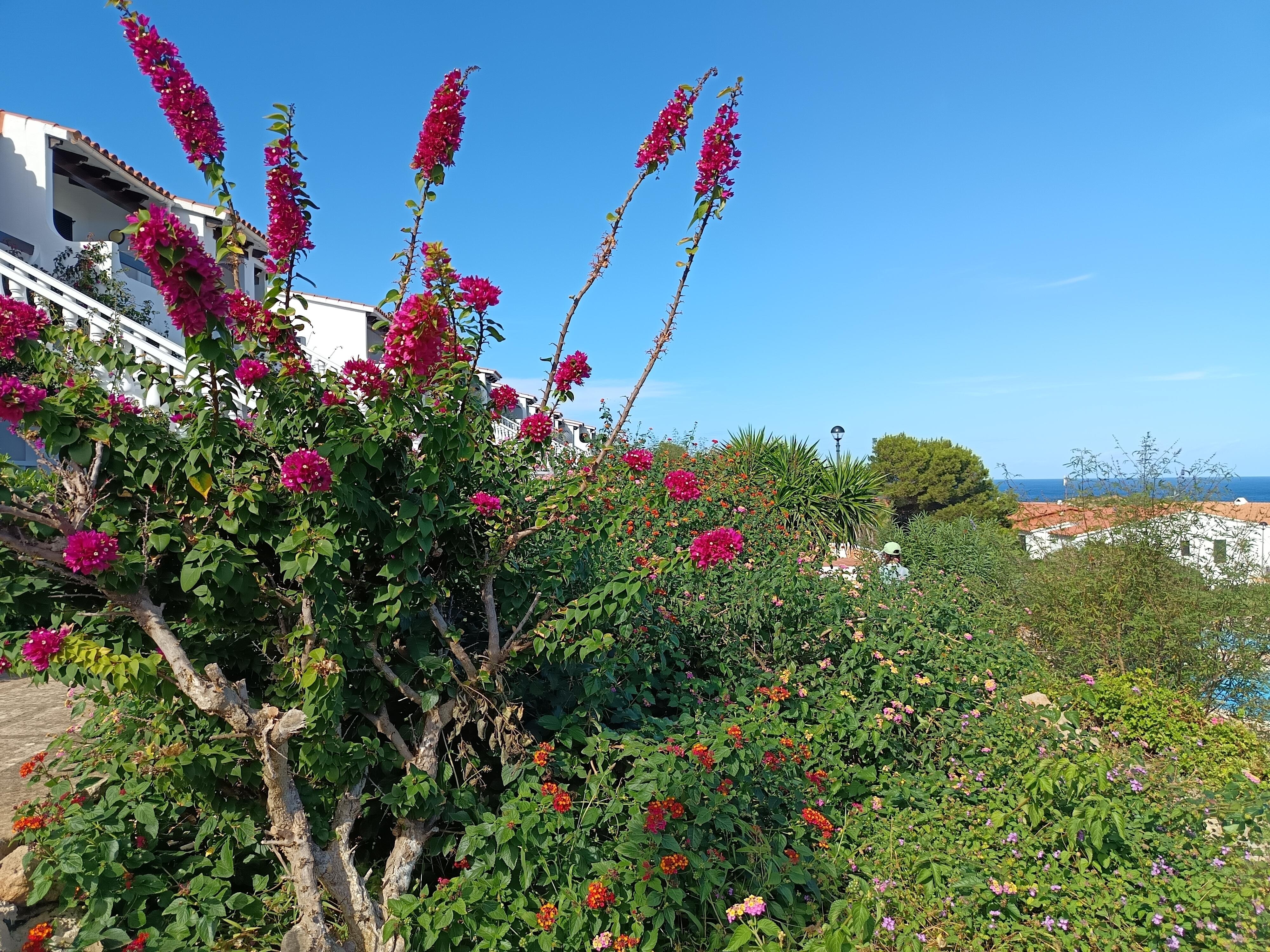 Jardin fleuri de la résidence 