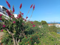 Jardin fleuri de la résidence