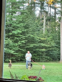 On the grounds