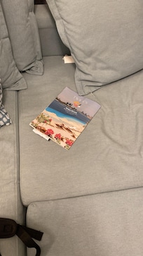 Found dirts behind the sofa cushions
