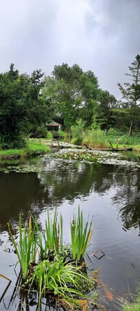 riesengroßer Koi-Teich