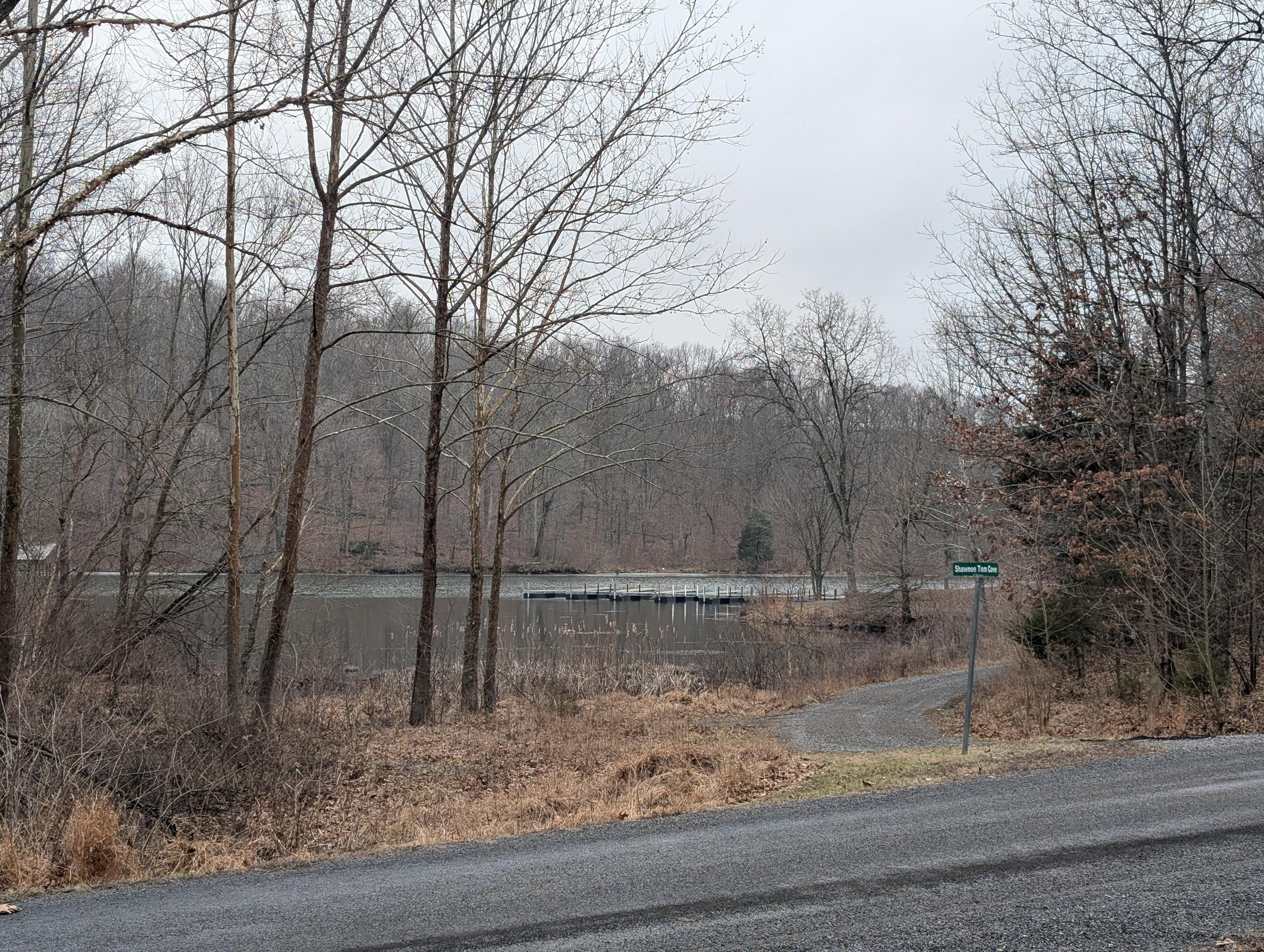 The view from the front windows. We saw lots of birds and deer. 