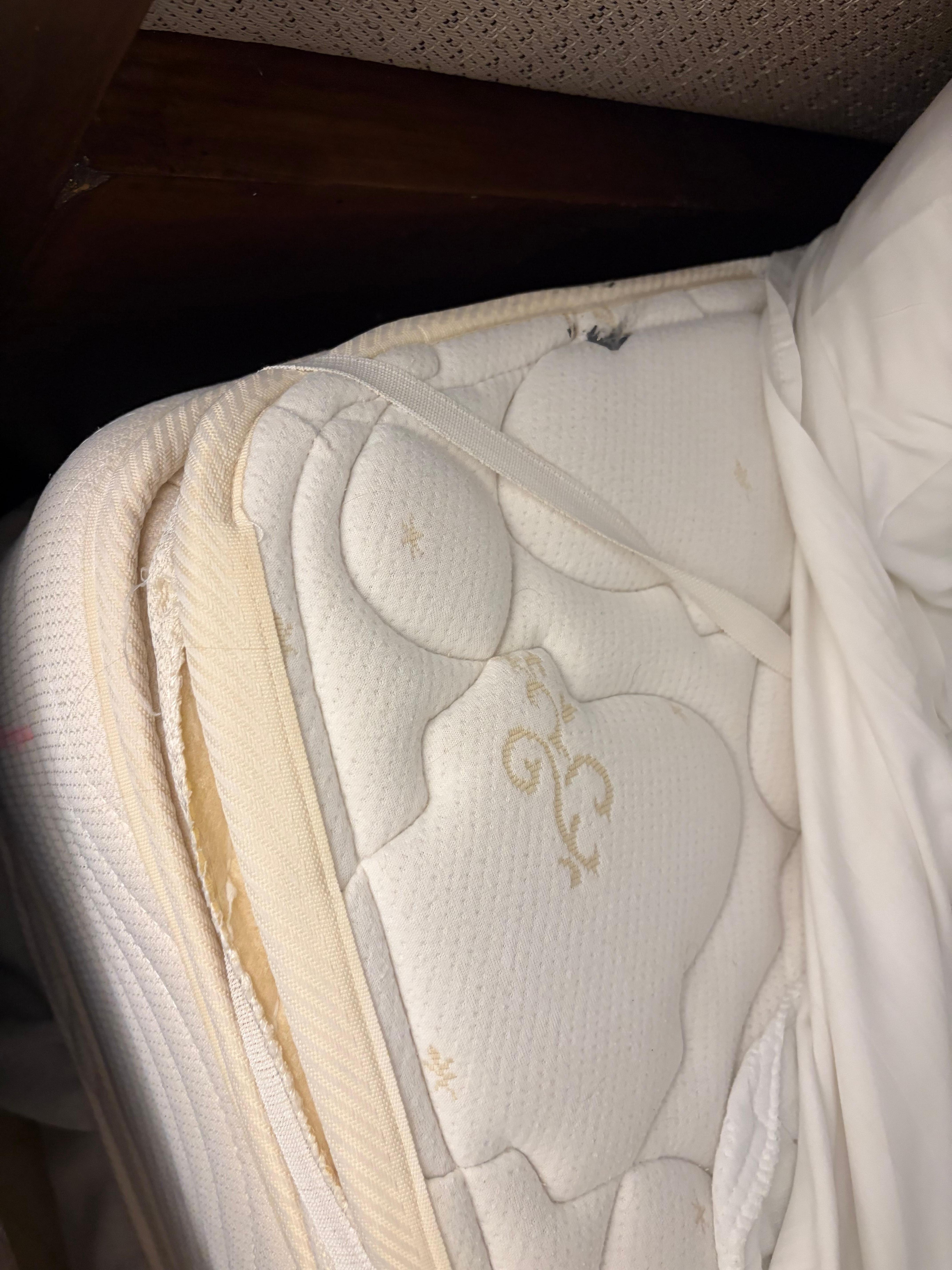 Matre sucio lleno de hongo. Habitación 32-20