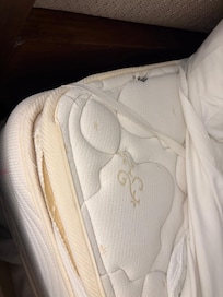 Matre sucio lleno de hongo. Habitación 32-20