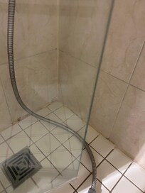 Mold in shower