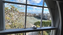 View from room 12
