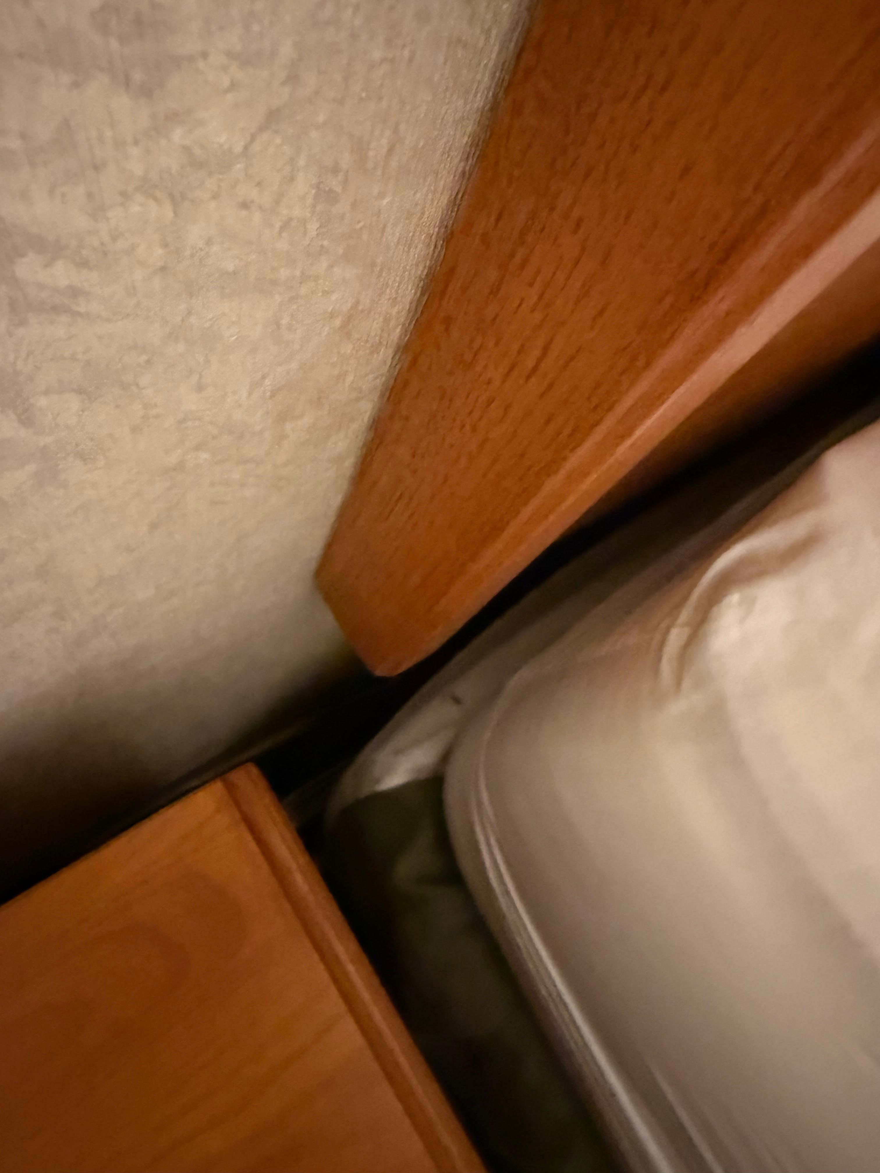 I probably shouldn’t have looked, but I was trying to plug in the lights and happened to see this nasty gunk on the bed skirt.