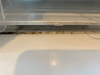 There were ling hairs and food debris in the refrigerator.