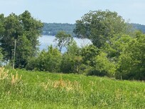 View of Cayuga from just in front of the cottage!