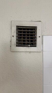 Black mold in the vent
