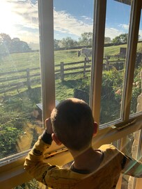 The view out the living room window is so beautiful and we loved seeing the horse and pony grazing.