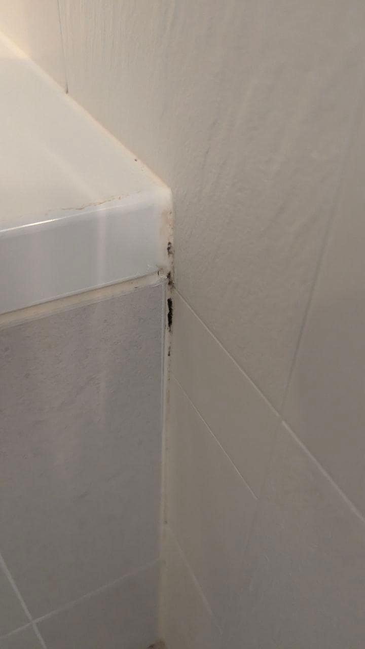 Schwarzschimmel Badewanne