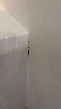 Schwarzschimmel Badewanne