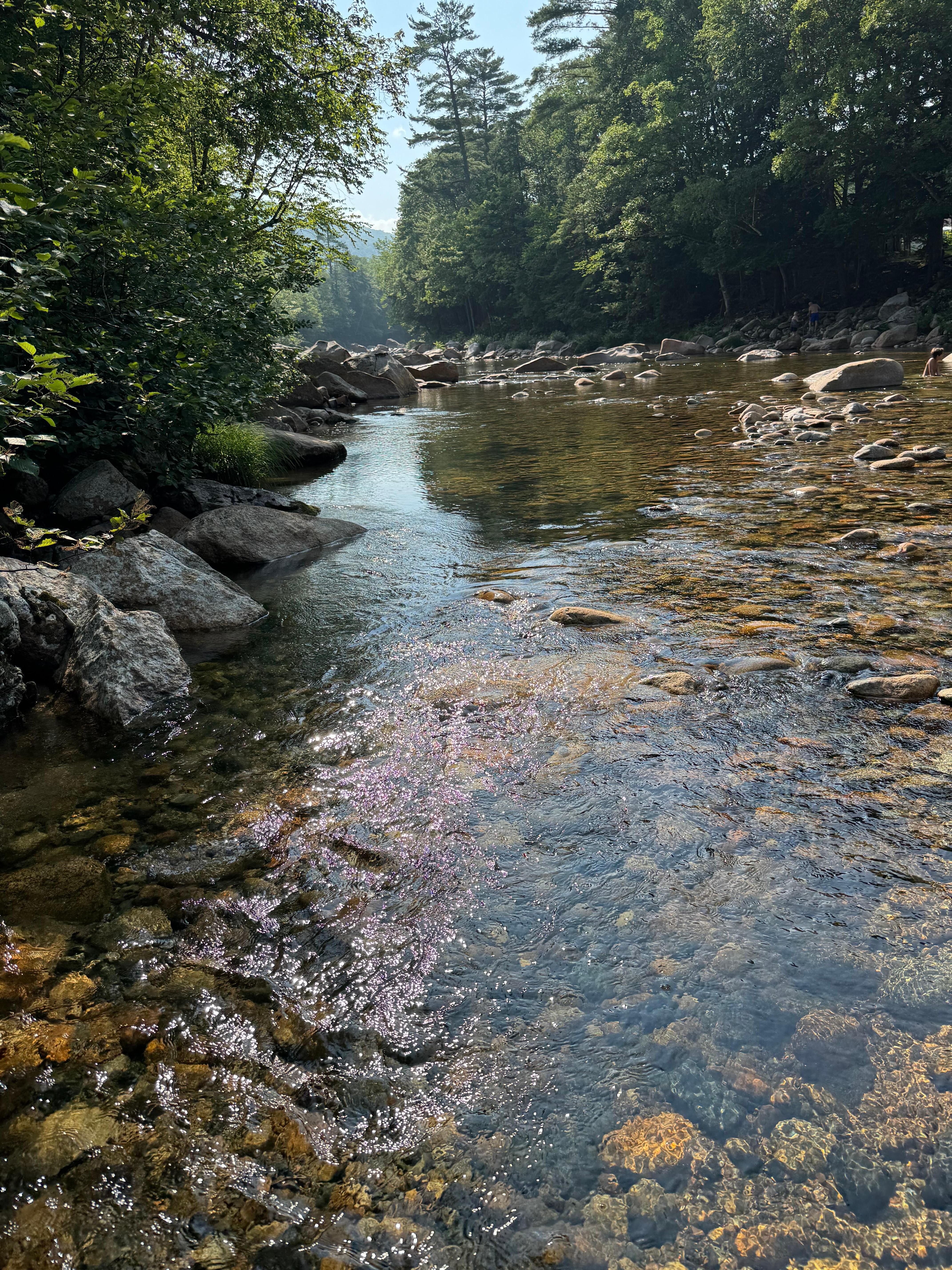 Great swim spot 1/2 mile from the cabin