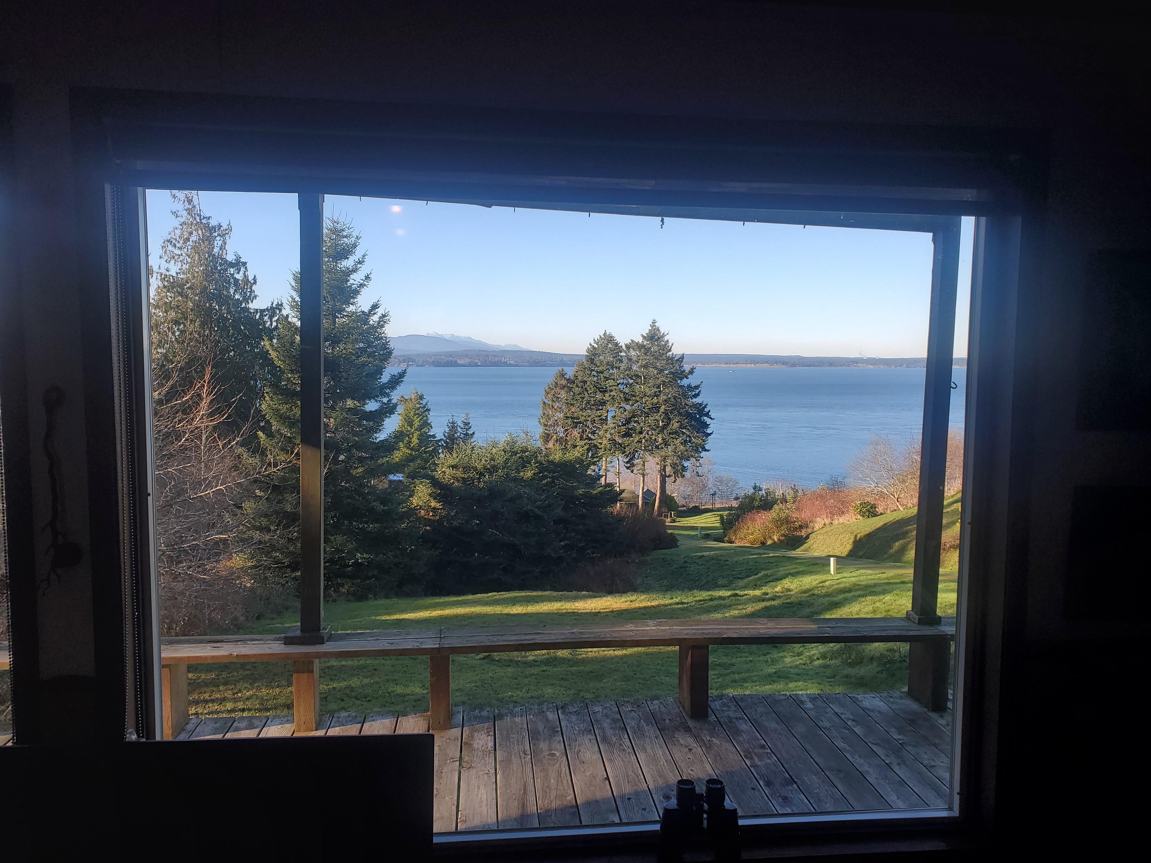 The view from the living room window. 