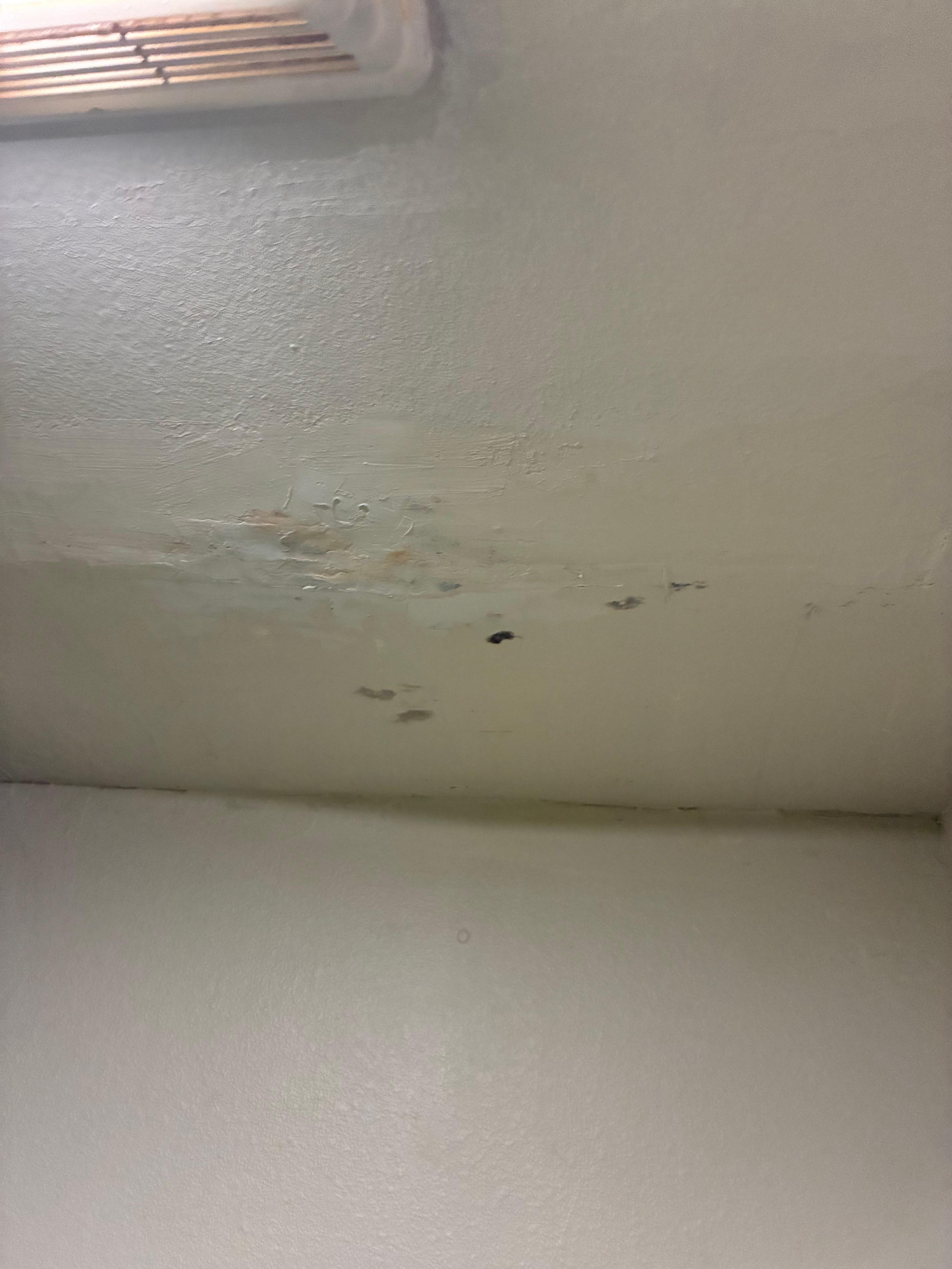 Bathroom ceiling in room