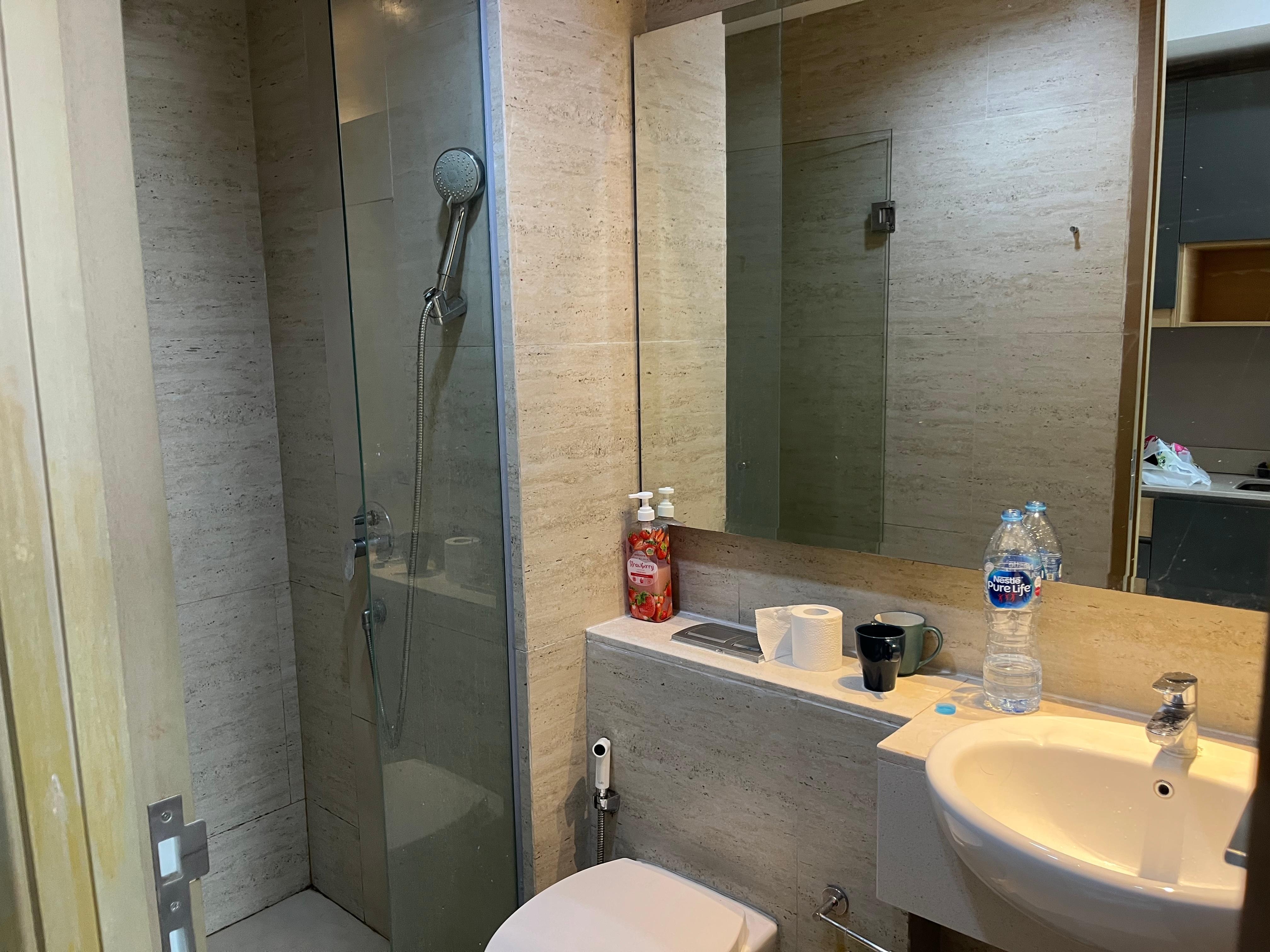 샤워기 거치대가 고장이 나서 샤워 할때 불편했습니다. 변기등 화장실 청소가 되지 않았고 곰팡이가 군데 군데 피어있었습니다.