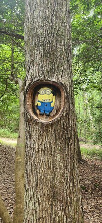 On Tom Rhodes Tree Carving Trail, Warsaw, VA.