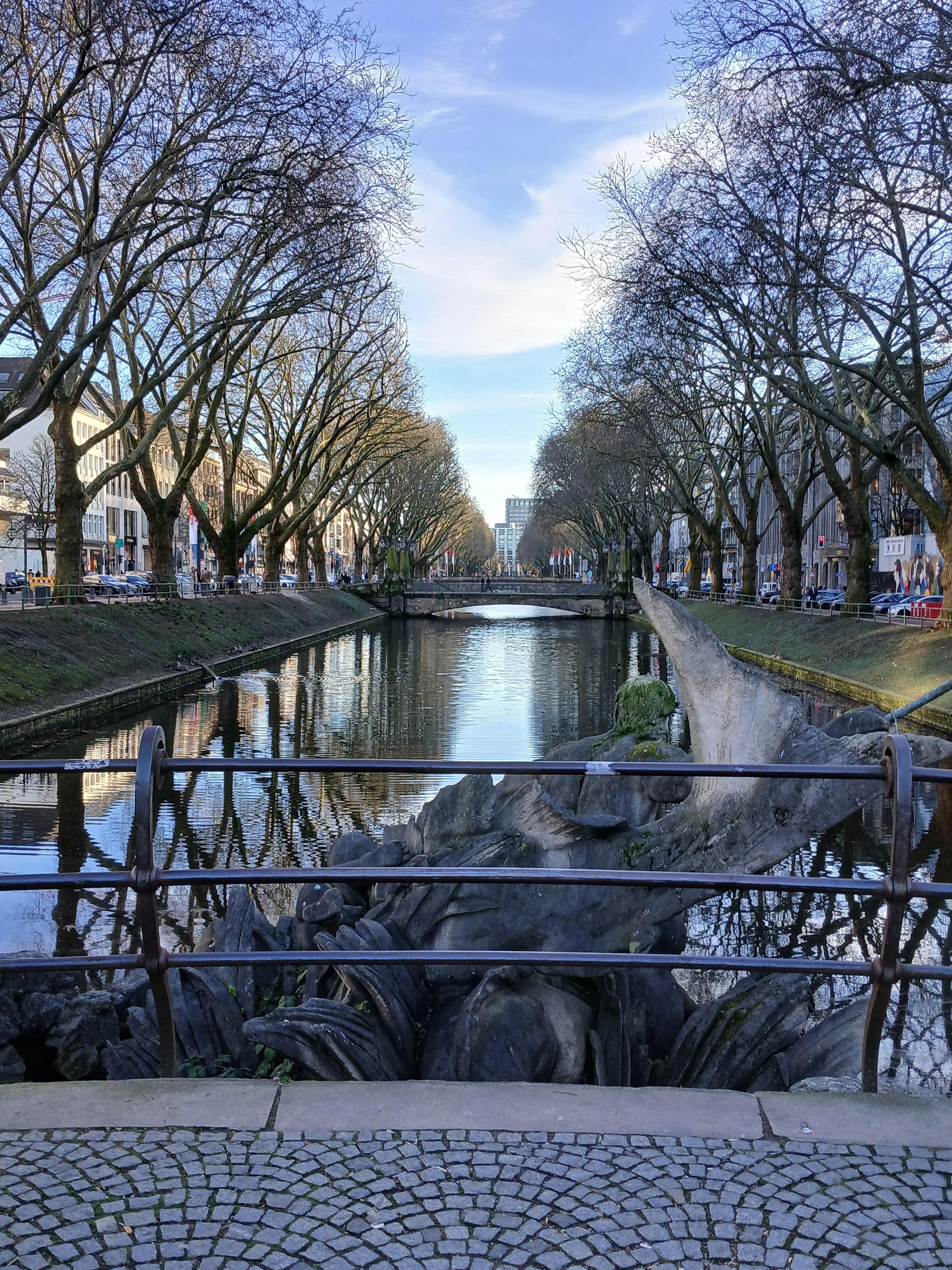 Rhine river 20 minutes walk