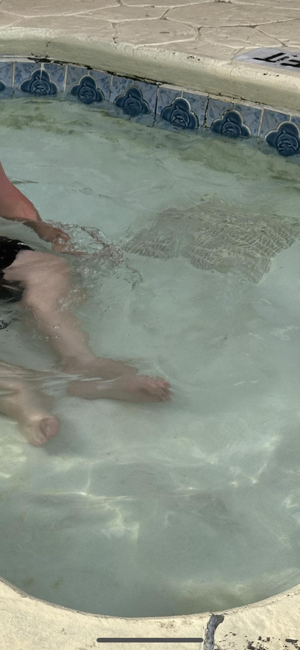 Green mold/slime in the pools.