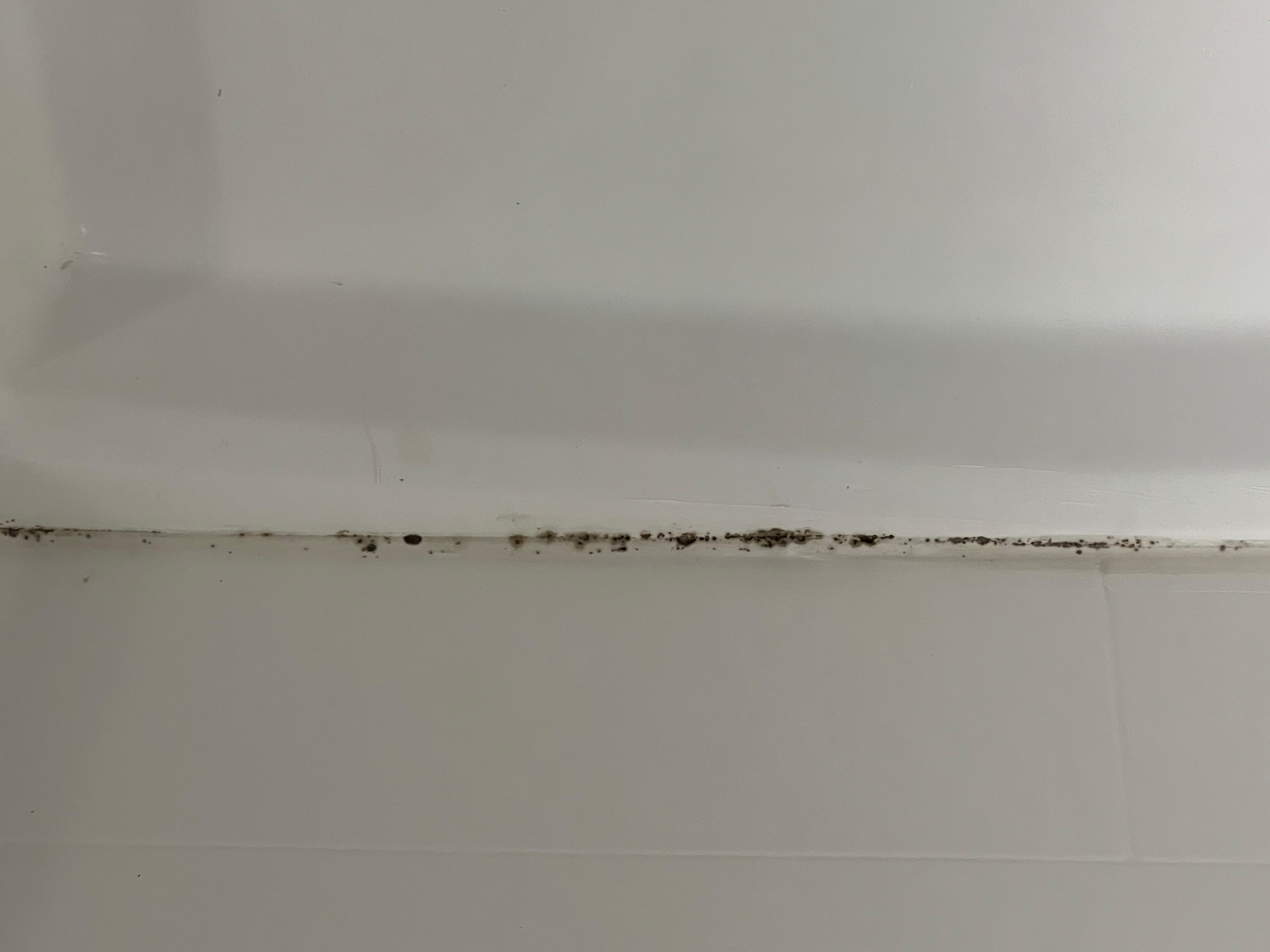 Mold in shower