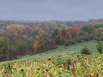Kickapoo Orchard