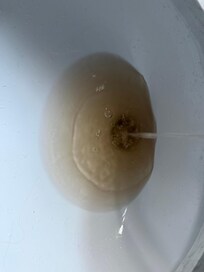 When the water returned it dirtied all the sinks and toilets