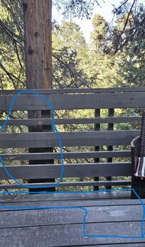 example of the sticky sap all over the balcony and furniture.