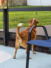 My little guy had never seen a frog before and when it jumped he jumped