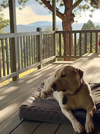 Mia on the porch after a long day of play.