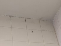 Shower pest everywhere, moldy all around.