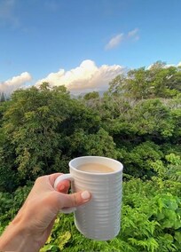 Patio view