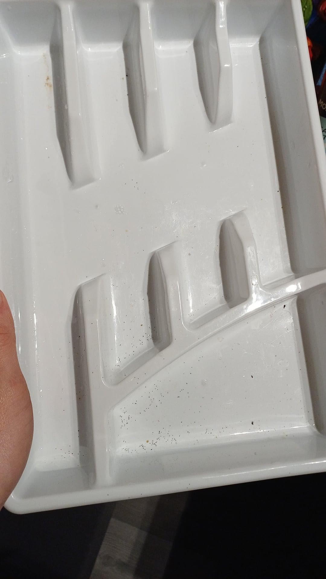 This is where all the utensils were in. I had to clean it, and the utensils same day as i came in because EWWWWW.