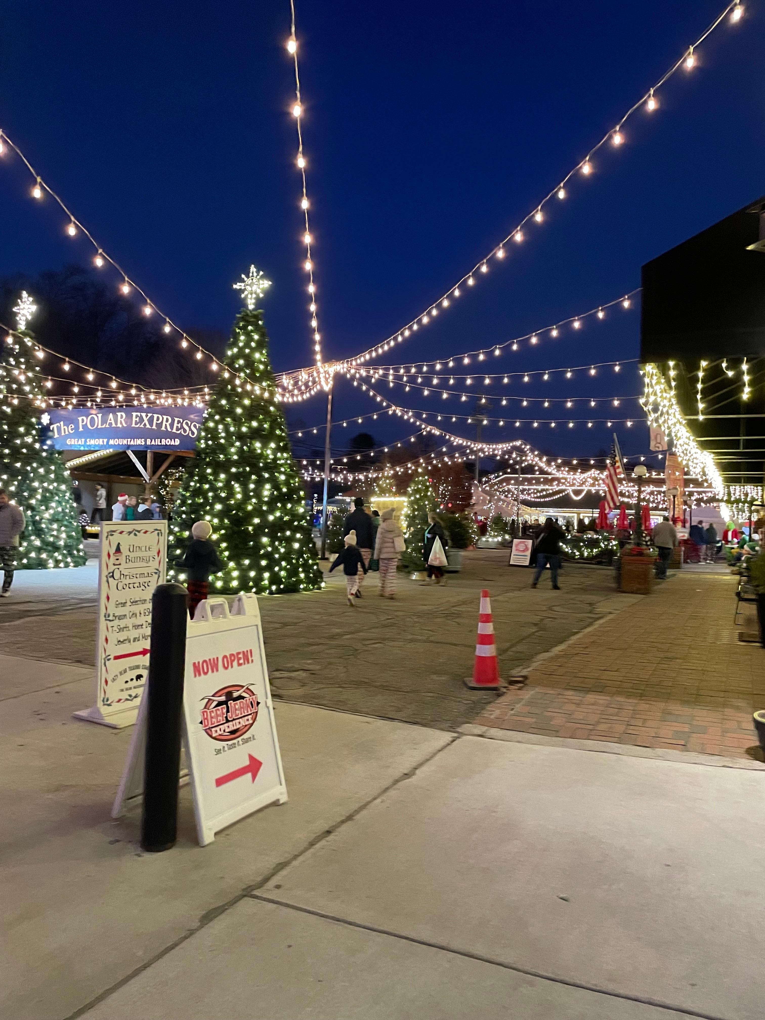 Polar express Christmas village