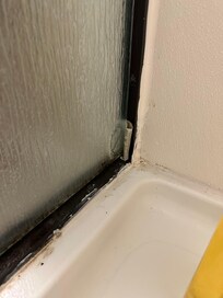 Shower mold