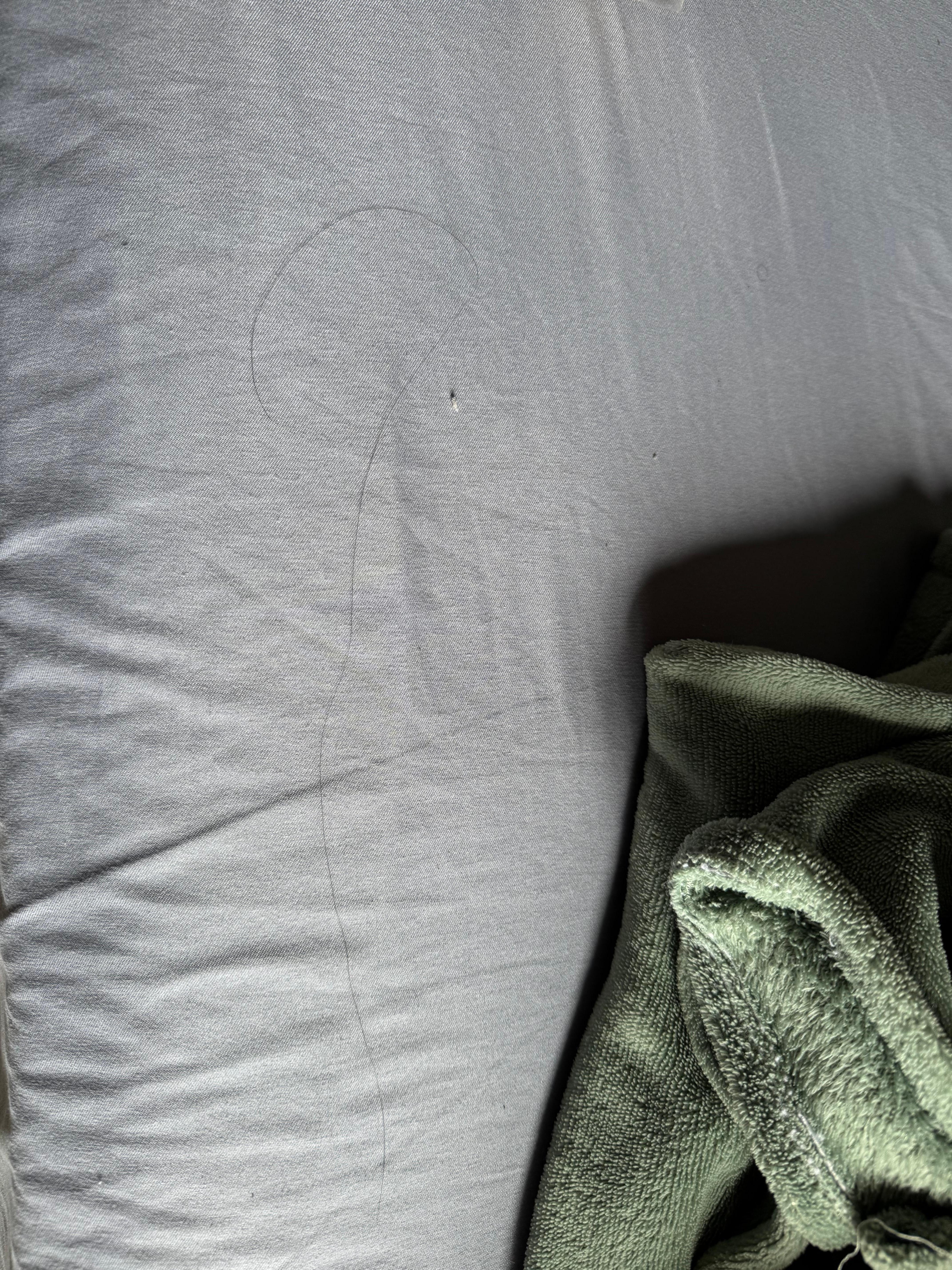 Cabelos de outras pessoas no lençol 