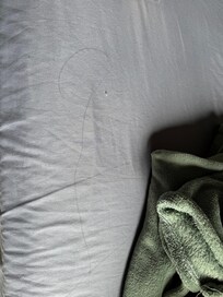 Cabelos de outras pessoas no lençol