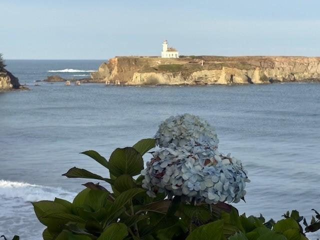 View from property of Cape Arago Lighthouse